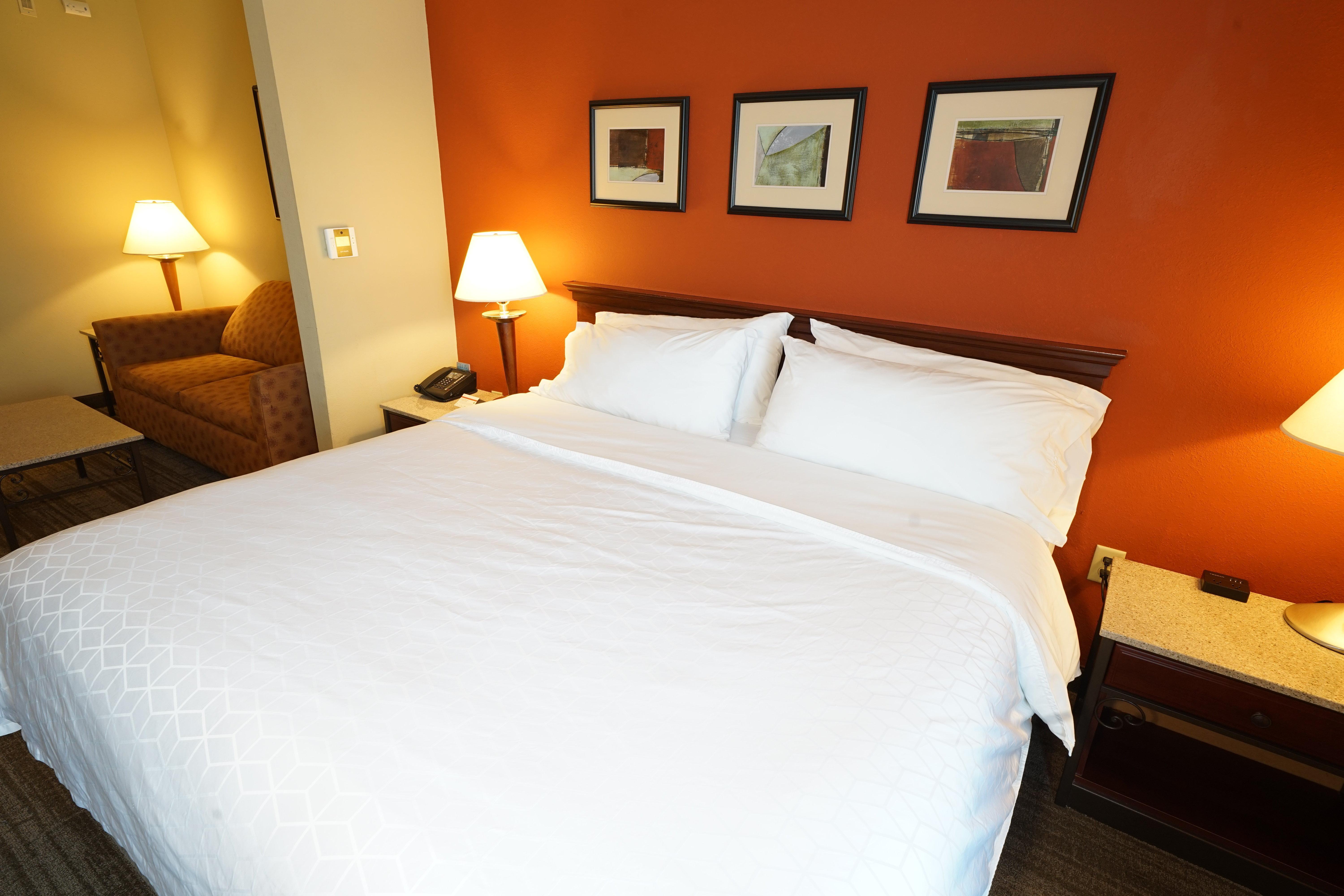 Holiday Inn Express Hotel & Suites Tampa-Oldsmar By Ihg Exterior photo